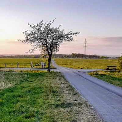 白天绿色草地之间的灰色沥青路